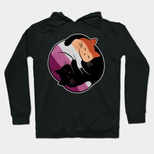 Lesbian Yin Yang Cat Hoodie